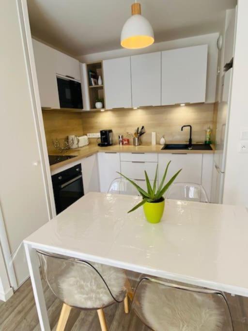 Apartamento Le Saint Hilaire *T2* Orléans Exterior foto